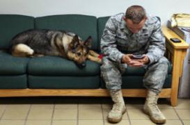 Les enfants de militaires au combat subissent les effets collatéraux