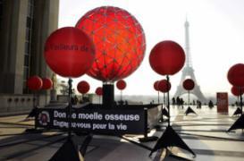 Moelle osseuse : 18 000 nouveaux donneurs à trouver