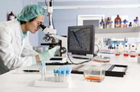 Alzheimer : une nouvelle molécule cible symptômes et causes de la maladie