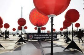 Pourquoi le don de moelle osseuse est important