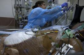 L'appel d'urgence de 50 médecins pour leurs confrères syriens