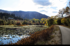 Allergies : attention aux graminés 