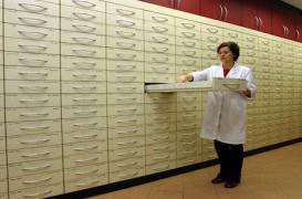 Les patients souffrent de la pénurie de  corticoïdes