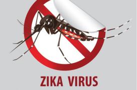 Zika : la ministre des Outre-mer appelle à la mobilisation 