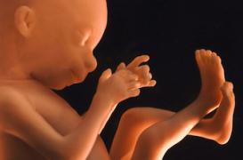 Les dangers de la cigarette pour le foetus