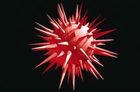 Sida : la porte d’entrée de l’infection décryptée      