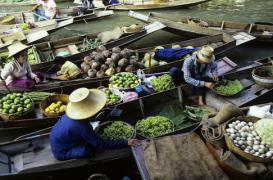 La maladie d'Asie : mystérieuse mais pas contagieuse