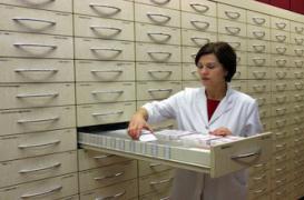 Pharmaciens : portrait d'une jeune génération motivée