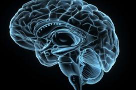 Une maladie rare permet de mieux comprendre l'Alzheimer 
