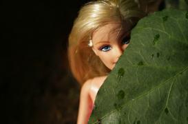 Quotient intellectuel : la fin des blagues sur les blondes 