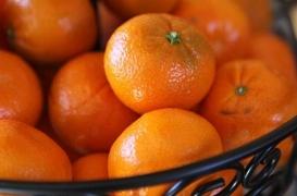 Argentine : un insecticide interdit tue une fillette de 12 ans