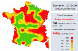 Grippe : la carte des régions les plus touchées par l'épidémie