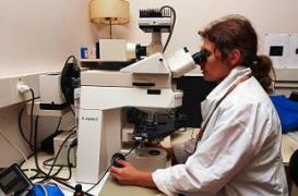 Les femmes scientifiques victimes d'inégalités