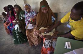Un antidouleur naturel découvert dans les racines d'un arbre