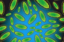 Votre sol contient peut-être le médicament du futur