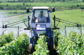 Pesticides : l’exposition au DDT augmenterait le risque d’Alzheimer   