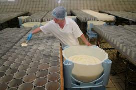 Les pédiatres américains veulent interdire le lait cru