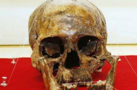 La baisse de testostérone serait à l'origine de la civilisation humaine