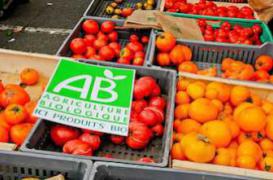 Nutrition : les aliments bio contiennent plus d’antioxydants