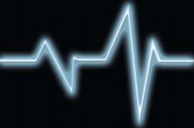 Découverte de la protéine qui fait battre le coeur en rythme 