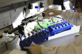 47 000 euros le ticket pour la médecine régénérative