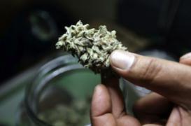 Bertrand Rambaud condamné pour usage thérapeutique de cannabis