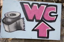 2,5 milliards de personnes n’ont pas accès à des toilettes propres