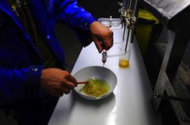 Sécurité alimentaire : les contrôles doivent être renforcés