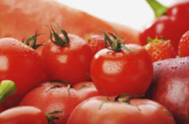 Cancer de la prostate : les tomates réduiraient le risque de 20 %