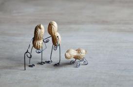 Cacahuètes : les introduire tôt mais sous contrôle médical