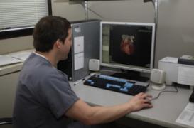 Maladies cardiaques : le test d'effort aussi fiable que le scanner