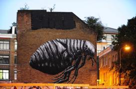 New York : les rats pourraient transmettre la peste