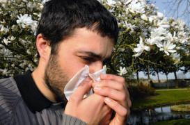 Allergies : la moitié de la planète concernée dans 15 ans