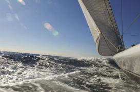 Le mal des transports vaincu par la rééducation