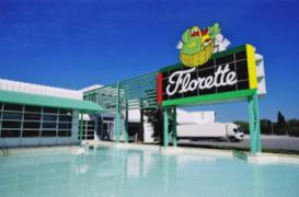 Alerte à la salmonelle : des sachets de persil retirés de la vente