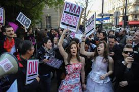 Enquête PMA : l’Académie de médecine se justifie      