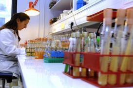 La bactérie Clostridium se répand à Marseille