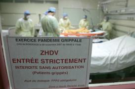 La France se prépare à prendre en charge des cas de grippe aviaire