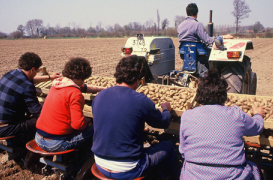 La drogue enfume le monde du travail