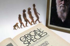 Les hommes plus idiots que les femmes, c'est prouvé !