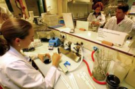 Décès d'un enfant en colonie de vacances : enquête sur l'eau et les aliments 