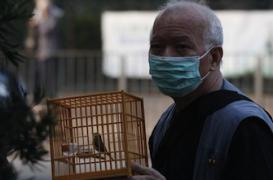 Grippe aviaire : premier décès dû au H7N9 à Hong Kong