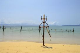 Après le drame de Koh-Lanta : les raisons d'une mort subite