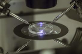 Infertilité : les 4 méthodes pour la vaincre   