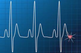Le battement du cœur rythmé grâce à six protéines