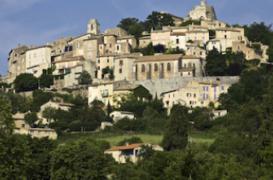 Vivre près d'un espace vert peut réduire les risques de naissances prématurées