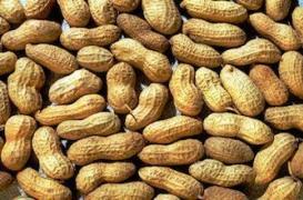 Allaitement : consommer des cacahuètes réduit les risques d'allergie