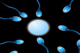 16 bonnes raisons de faire l'amour en 2016