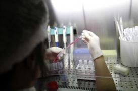 Une naissance inespérée grâce à un « collage embryonnaire » 