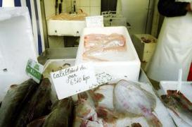 L’huile de poisson bénéfique contre le cancer de la prostate 